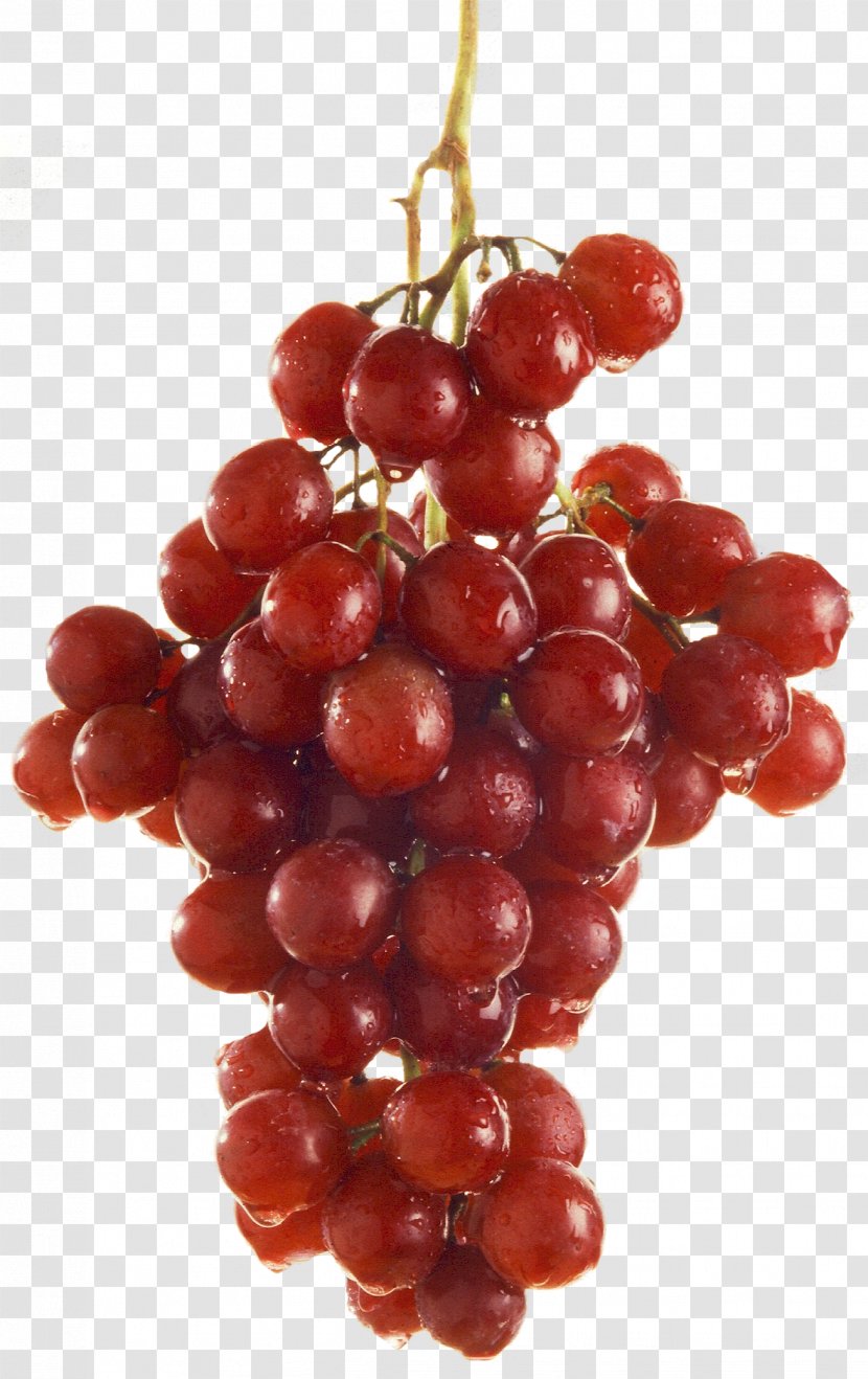 Grape Red Wine Juice Barbera Flame Seedless - Fruit - Grapes Transparent PNG
