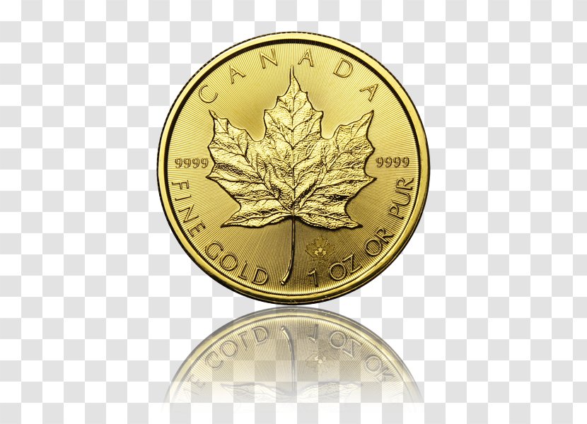 Gold Coin Canadian Maple Leaf Canada - Tree Transparent PNG