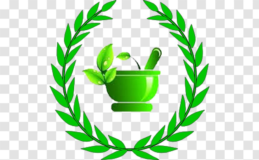 Laurel Wreath Bay Clip Art - Leaf - Crown Transparent PNG