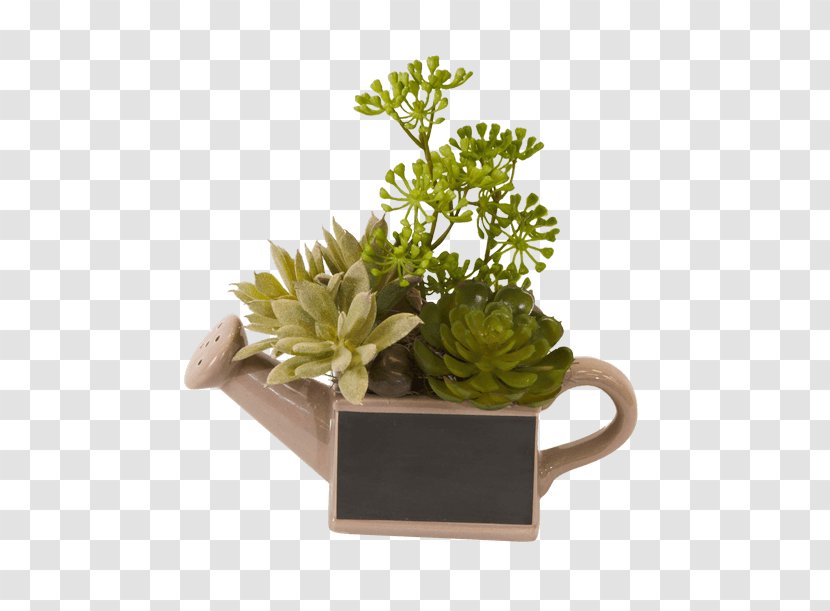 Flowerpot Herb Houseplant - Flower Transparent PNG