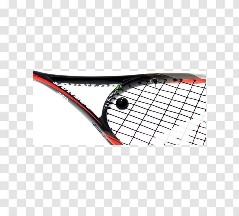 Racket Rakieta Do Squasha Sport Tennis - Equipment And Supplies - Biomimetics Transparent PNG