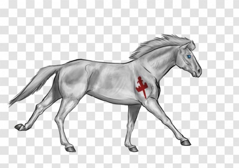 Mane Foal Mustang Pony Stallion - Horse Transparent PNG