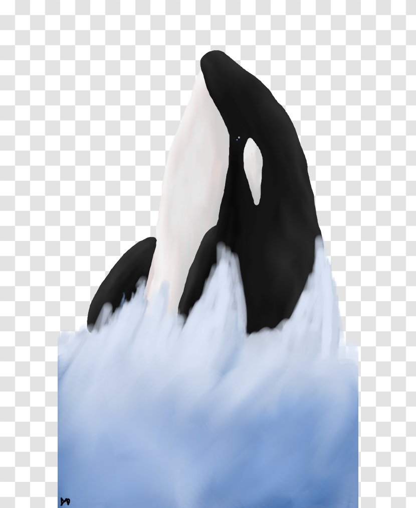 Penguin Water Bird Neck Beak Transparent PNG