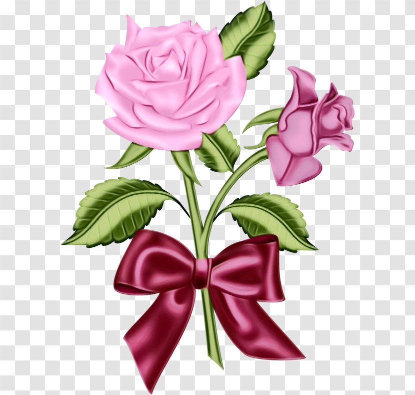 Garden Roses - Wet Ink - Violet Rose Family Transparent PNG