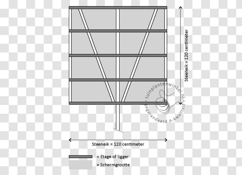 Silverberry Tuinplantenwinkel.nl Online Shopping - QUERCUS ILEX Transparent PNG