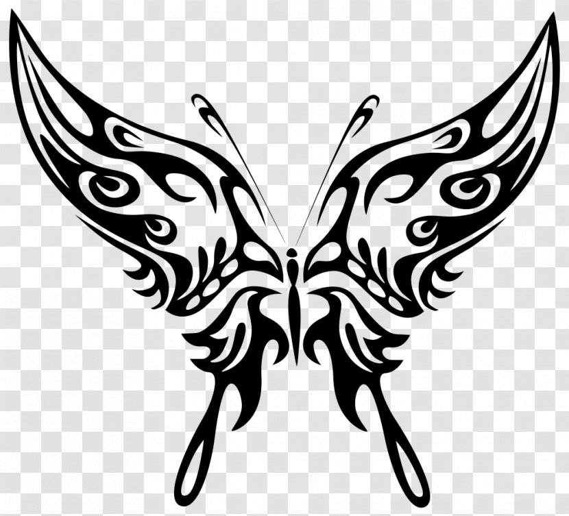 Butterfly Line Art Drawing Clip - Wing Transparent PNG