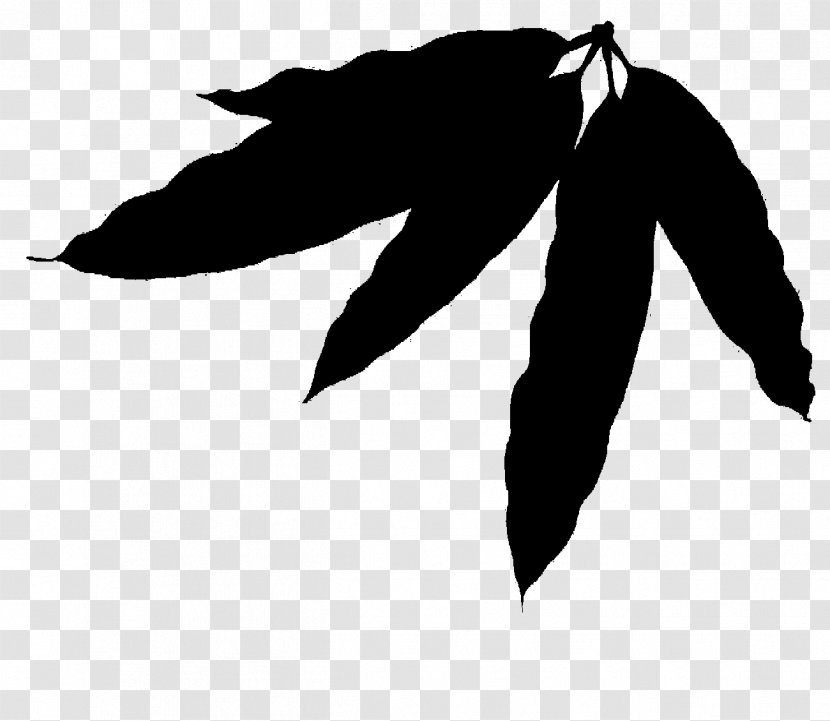 Black & White - Leaf - M Font Silhouette Tree Transparent PNG