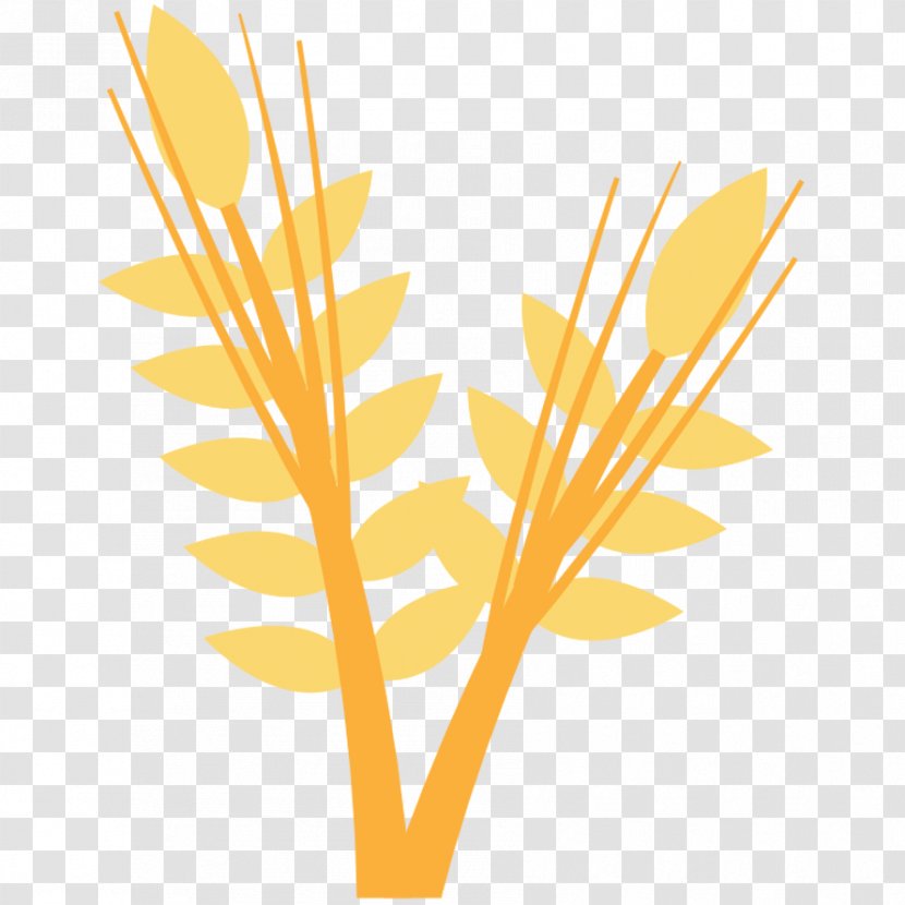 Illustration - Twig - Arts Wheat Transparent PNG