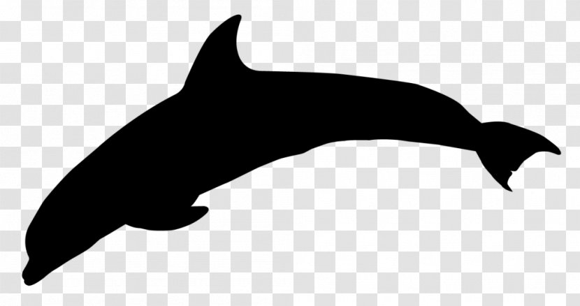 Dolphin Dog Killer Whale Mammal Clip Art - Beak - Cetacea Transparent PNG