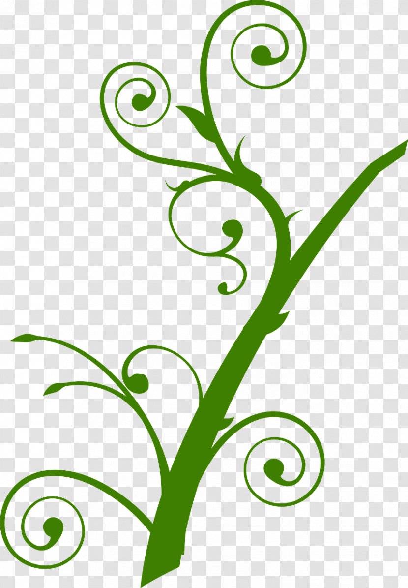 Branch Tree Clip Art - Drawing - Flower Vine Transparent PNG