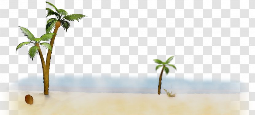 Water Leaf Desktop Wallpaper Plant Stem Computer - Palm Tree - Landscape Transparent PNG