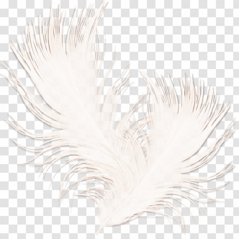 Watercolor Natural - Wing - Tail Material Transparent PNG