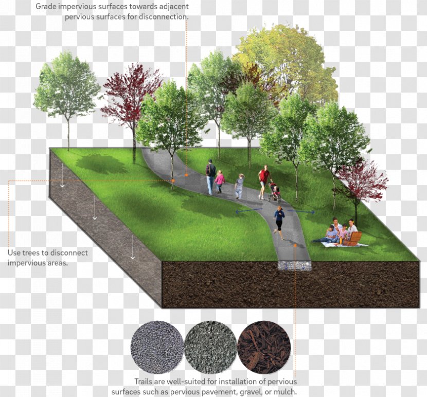 Backyard Landscaping Lawn Urban Design Transparent PNG