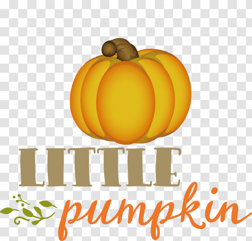 Little Pumpkin Thanksgiving Autumn Transparent PNG