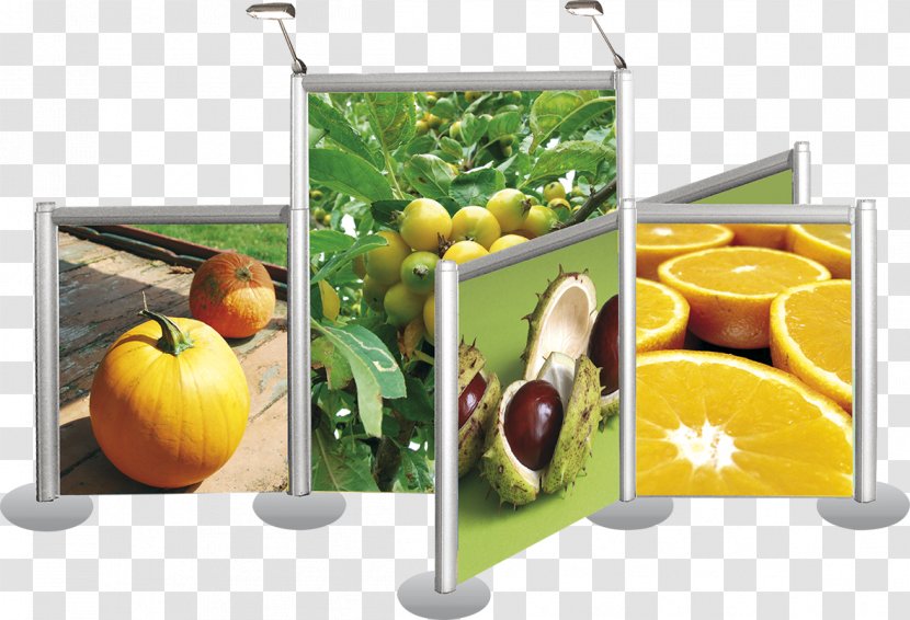 Superfood Citrus COMIXANDO ART AREA Diet Food - Communication - Croce Transparent PNG