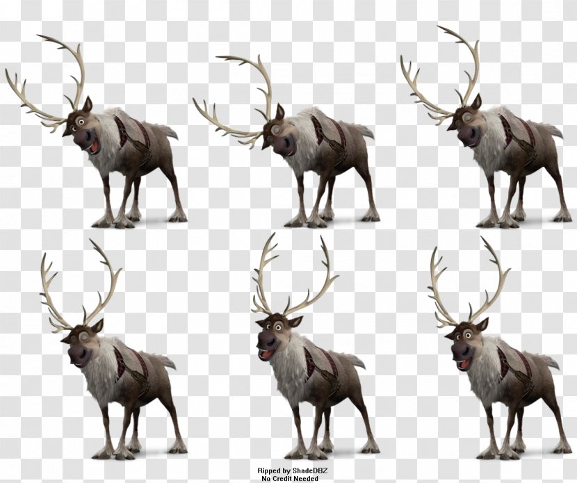 Elk White-tailed Deer Moose Antler Frozen Film Series - Walt Disney Company - Reindeer Transparent PNG