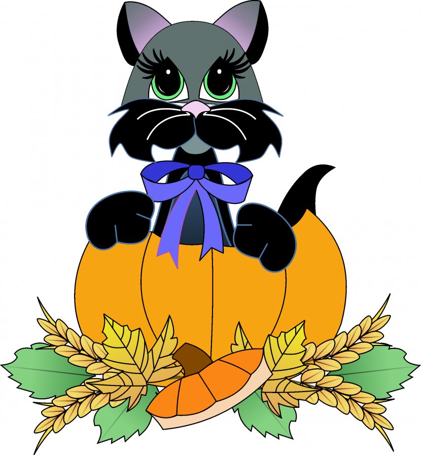 Whiskers Kitten Cat Canidae Transparent PNG