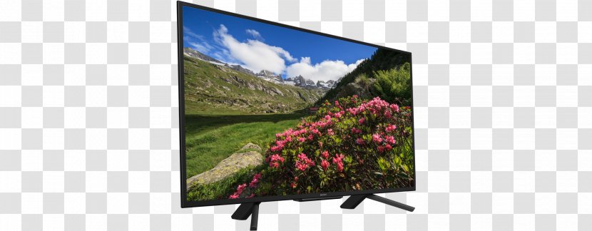 Television Set High-dynamic-range Imaging Motionflow Sony - Flora Transparent PNG