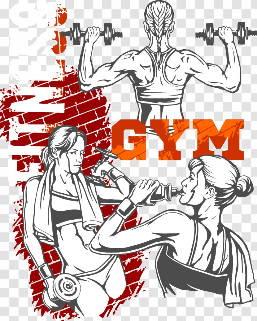 Physical Fitness Centre Bodybuilding - Silhouette - Vector Barbell Transparent PNG