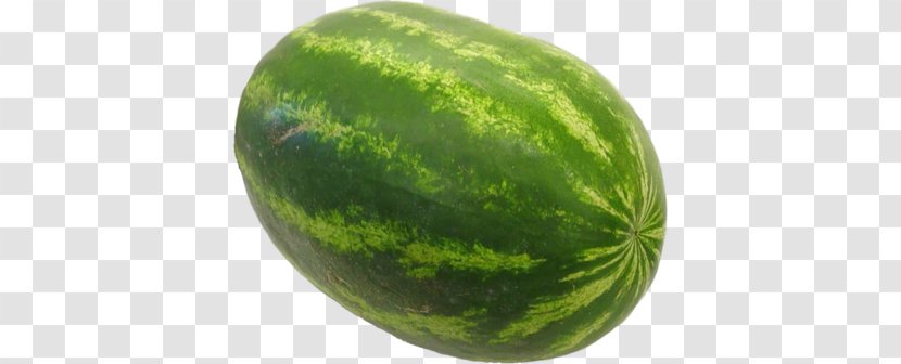 Watermelon Muskmelon Cucumber Seedless Fruit Cucurbita Maxima - Gourd Order Transparent PNG