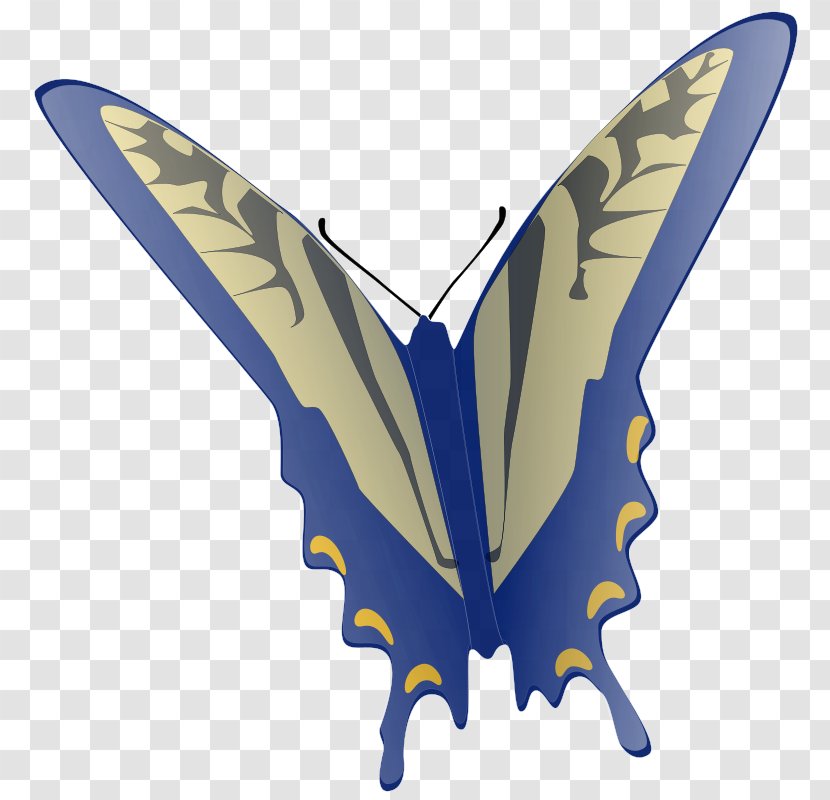 Butterfly Free Content Clip Art - Moths And Butterflies - Context Cliparts Transparent PNG