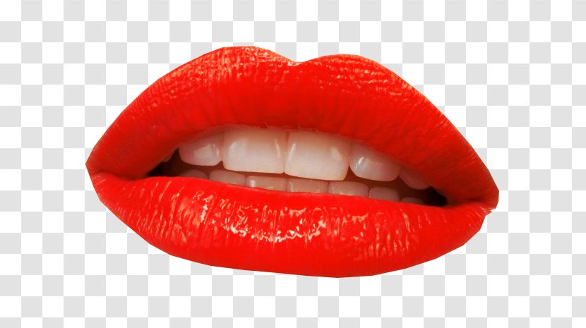 Lipstick RED.M - Dudak Transparent PNG