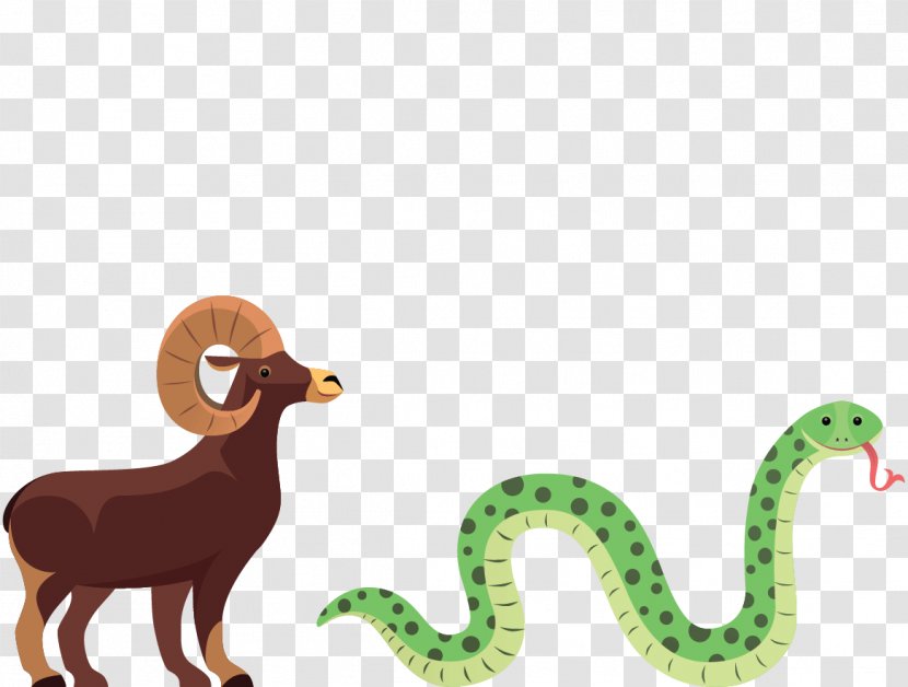 Los Angeles Zoo Animal Petting Drive - Serpent - Fauna Transparent PNG