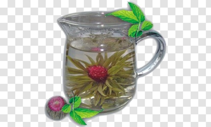 Flowering Tea Plant China's Famous Teas - Drink Transparent PNG