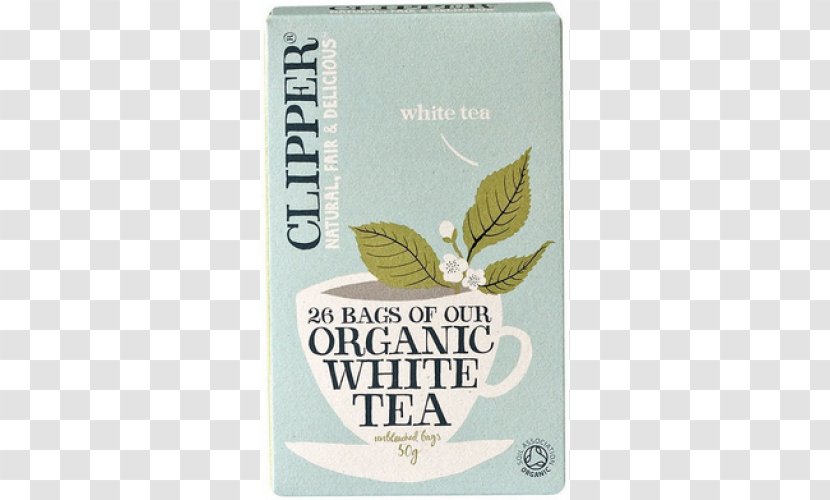 White Tea Organic Food Green Clipper - Herb Transparent PNG
