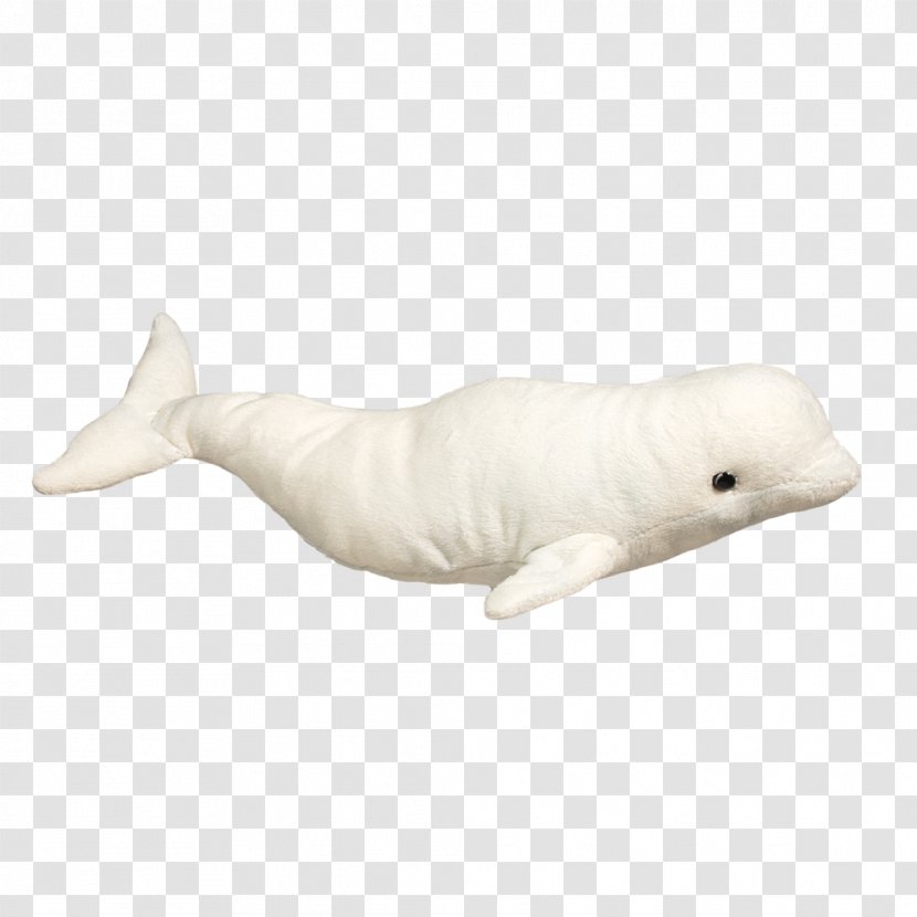 Tucuxi Beluga Whale Stuffed Animals & Cuddly Toys Cetacea Child - Tree Transparent PNG