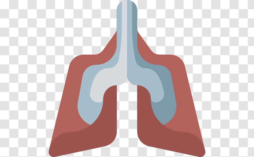 Lung - Cartoon - Lungs Transparent PNG