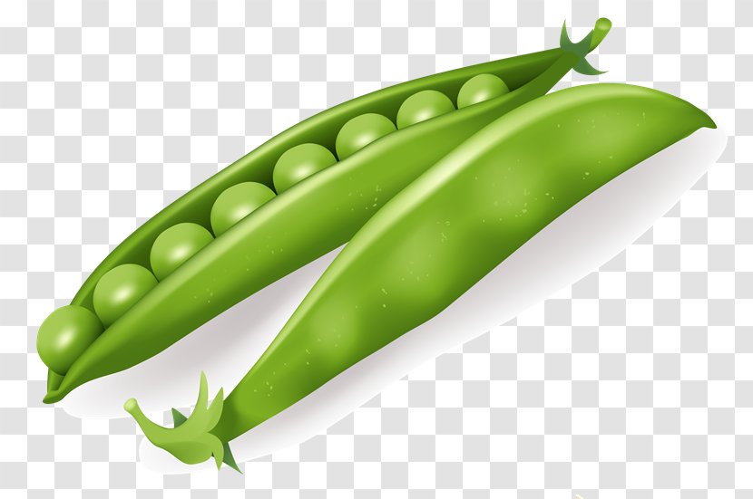 Leaf Vegetable Pea - Chili Pepper - Vq Transparent PNG