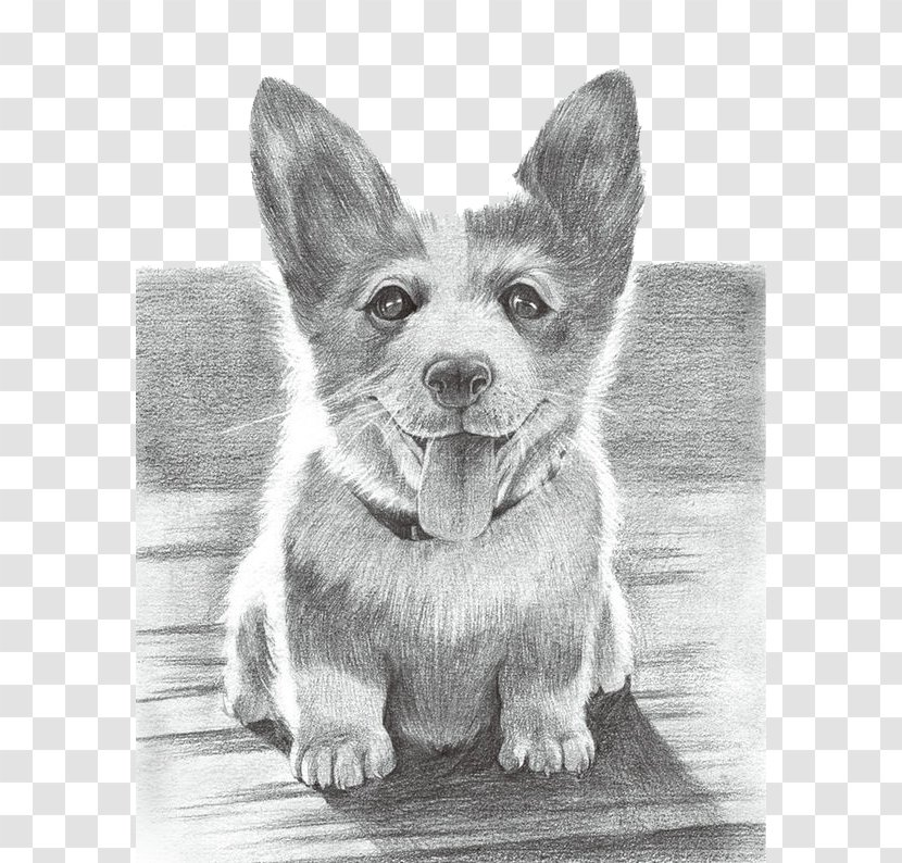 Dog Drawing Puppy Painting - Snout Transparent PNG