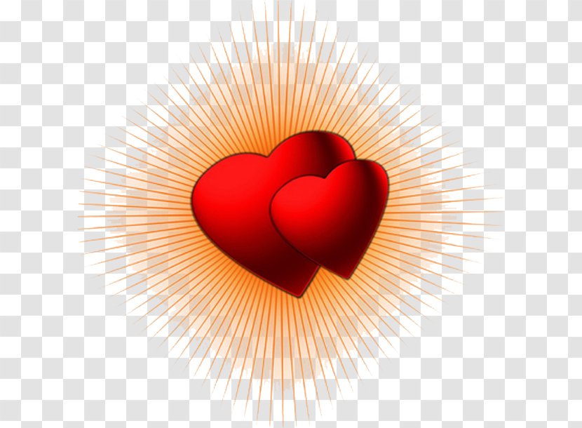 Valentine's Day Heart - Love Transparent PNG
