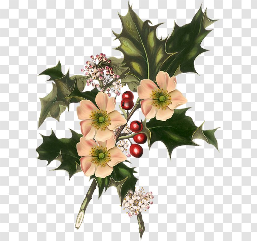 Flower Floral Design Clip Art Christmas Day Common Holly - Bouquet - Poppy And Branch Stocking Transparent PNG