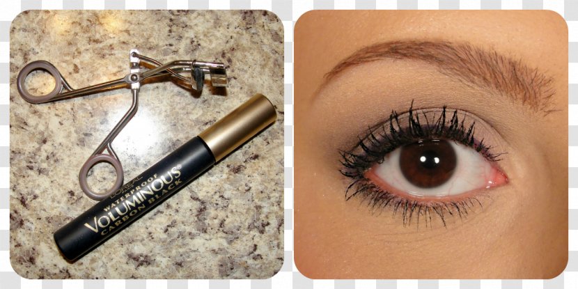 Eyelash Extensions Mascara Eye Shadow Brown - Eyebrow - Fair Wear Foundation Transparent PNG
