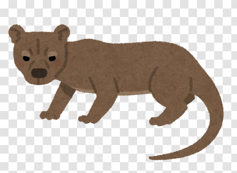 Bear いらすとや Fossa Animal Transparent PNG