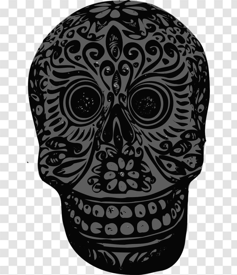 Skull Clip Art - Visual Arts Transparent PNG