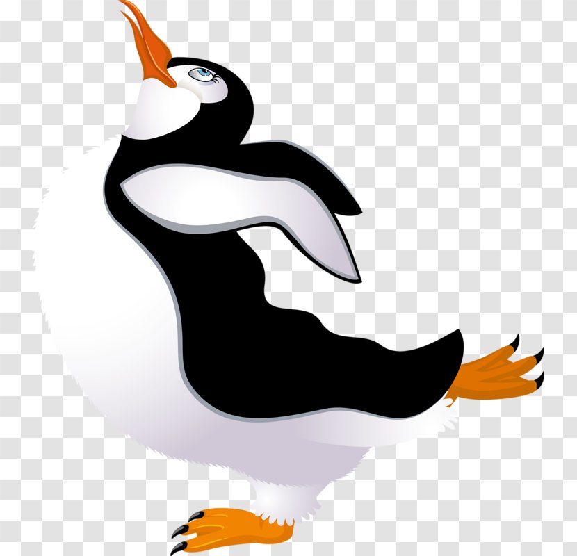 Penguin Clip Art - Beak - Flying Transparent PNG