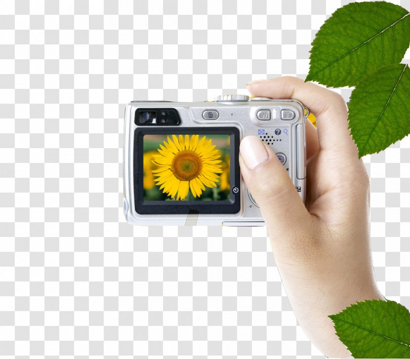 Camera Photographic Film - Photography - Holding The Transparent PNG