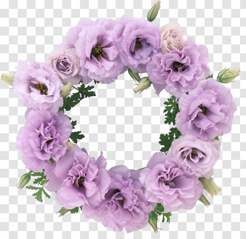 Floral Design Flower Bouquet Photography - Carnation Transparent PNG
