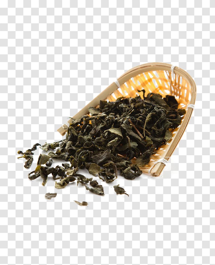Green Tea Culture - Assam Transparent PNG