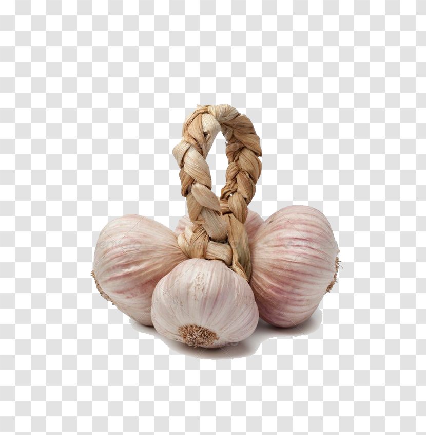 Garlic Shallot Stock Photography Advertising - Vegetable Transparent PNG