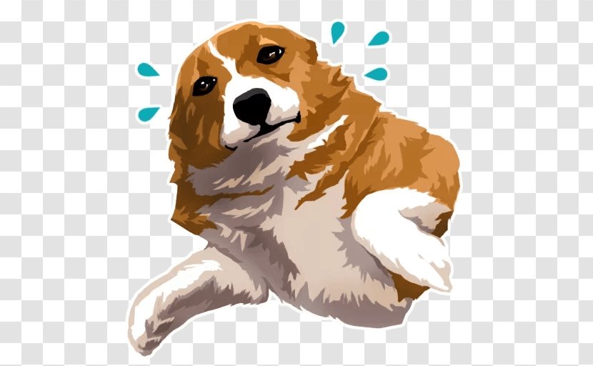 Dog Breed Beagle Puppy Pembroke Welsh Corgi Spaniel - Carnivoran Transparent PNG