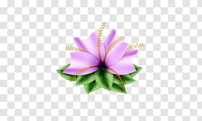 Clip Art Flower Image Blog - Cattleya Transparent PNG