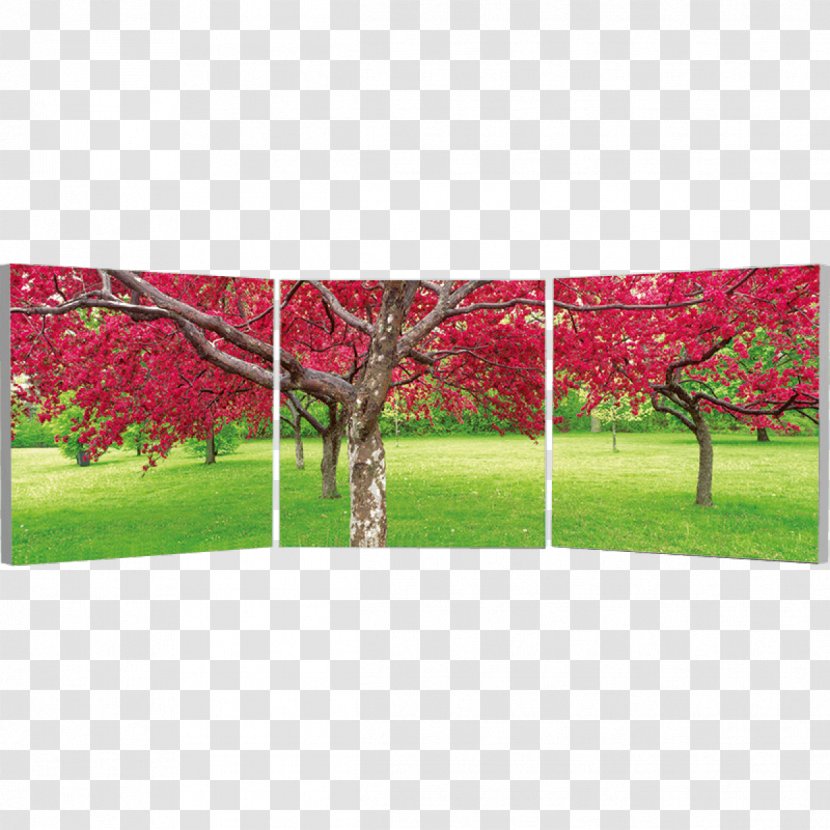 Triptych Art Panel Painting Photography Diptych - Cherry Decoration Transparent PNG