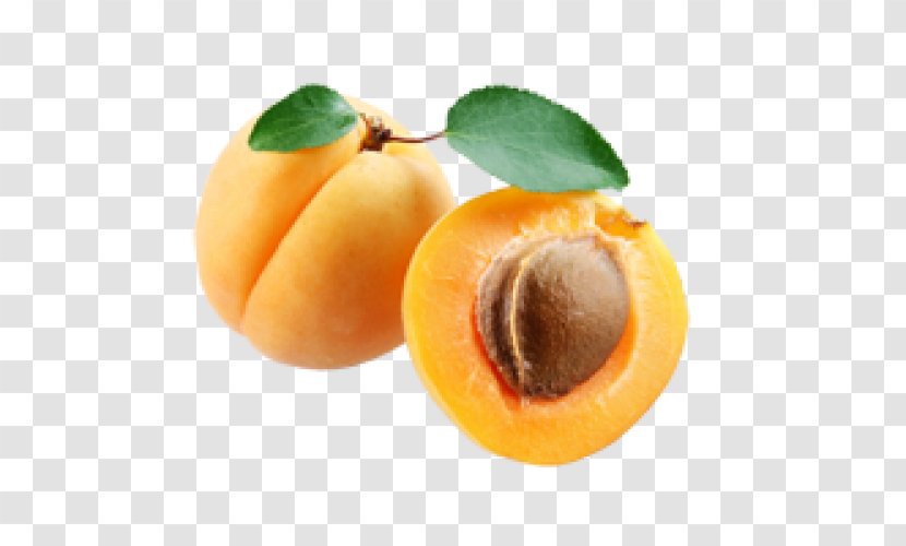 Apricot Clip Art - Image File Formats Transparent PNG