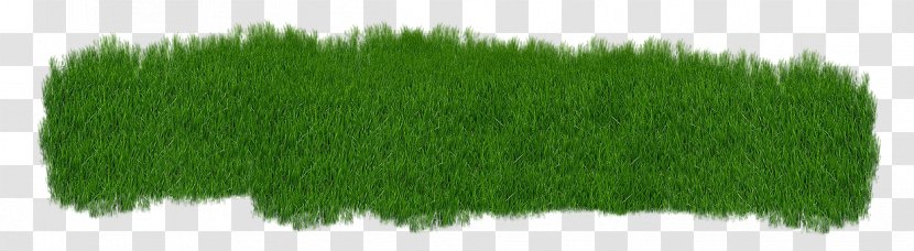Grass Lawn Grasgroen Clip Art - Nature Transparent PNG