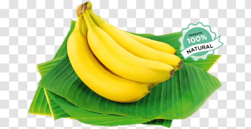 Saba Banana Vallefrutas Distribuidora De Bananas Cooking Banaani Food - Natural Foods Transparent PNG