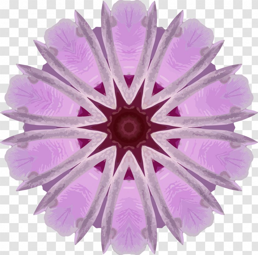 Flower Lilac Transvaal Daisy Clip Art - Violet - Orchid Transparent PNG
